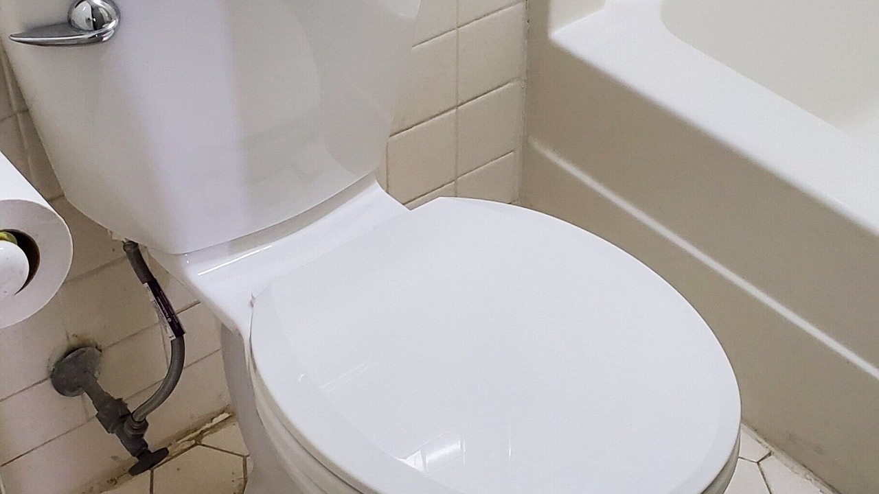 Photo of Others in Estill