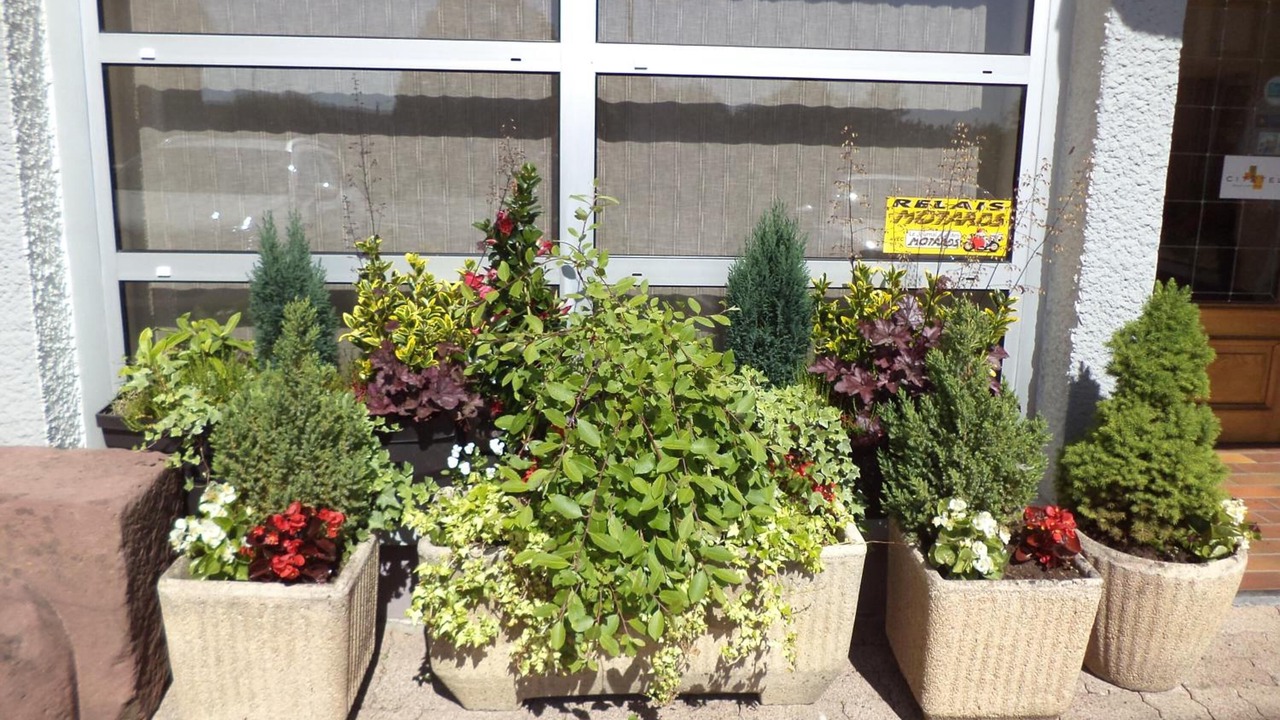 Photo of Outdoor in Offemont