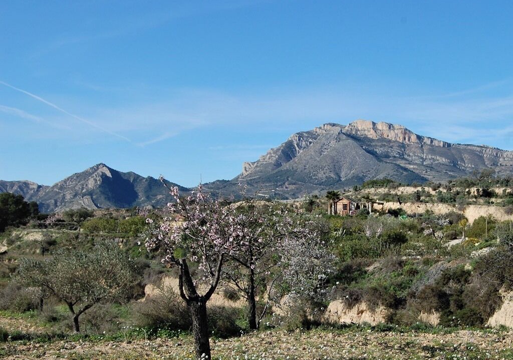 Photo of Outdoor in Jijona
