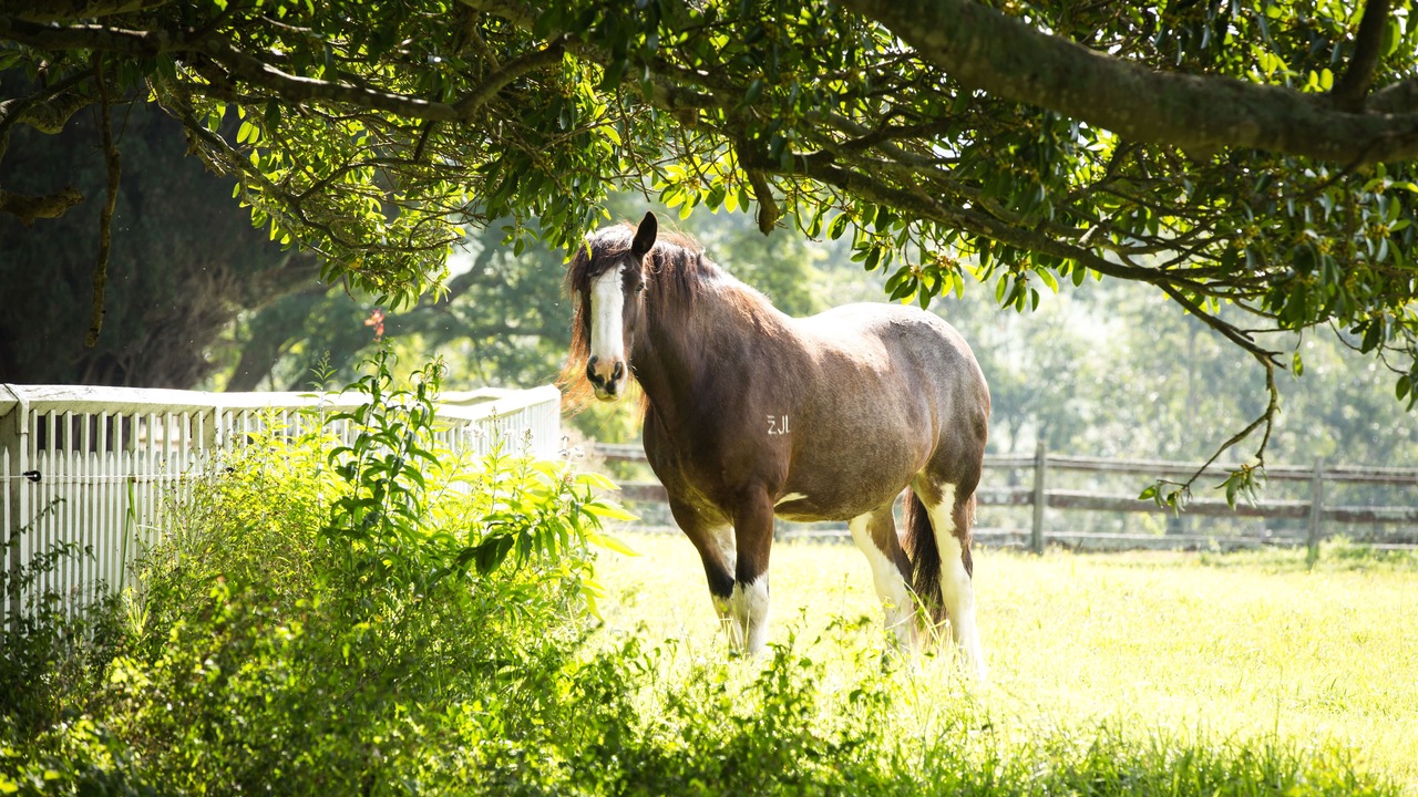 Photo of Human In Picture in Paterson