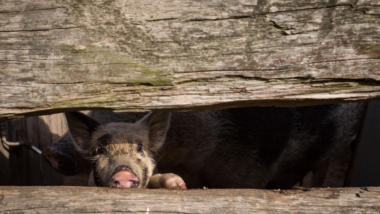 Photo of Outdoor in Paterson