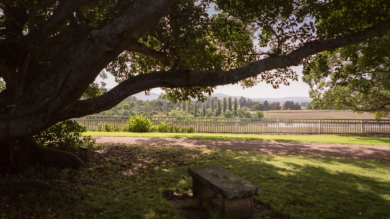 Photo of Others in Paterson