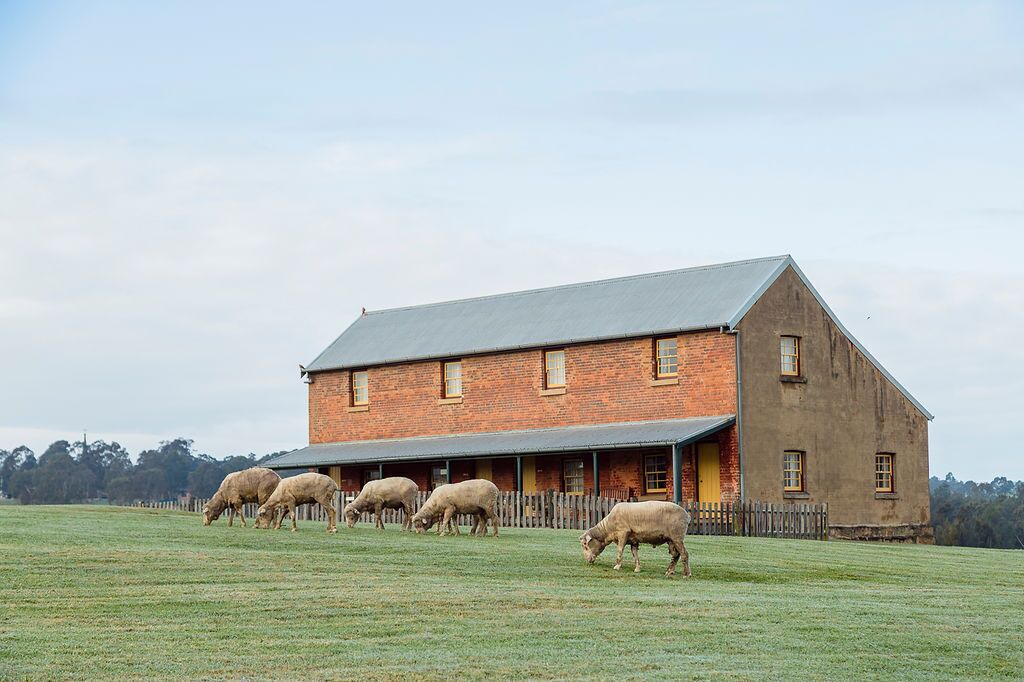 Photo of Outdoor in Paterson