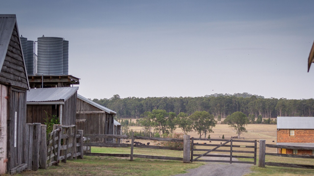 Photo of Others in Paterson