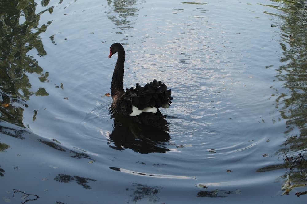 Photo of Others in Lombron