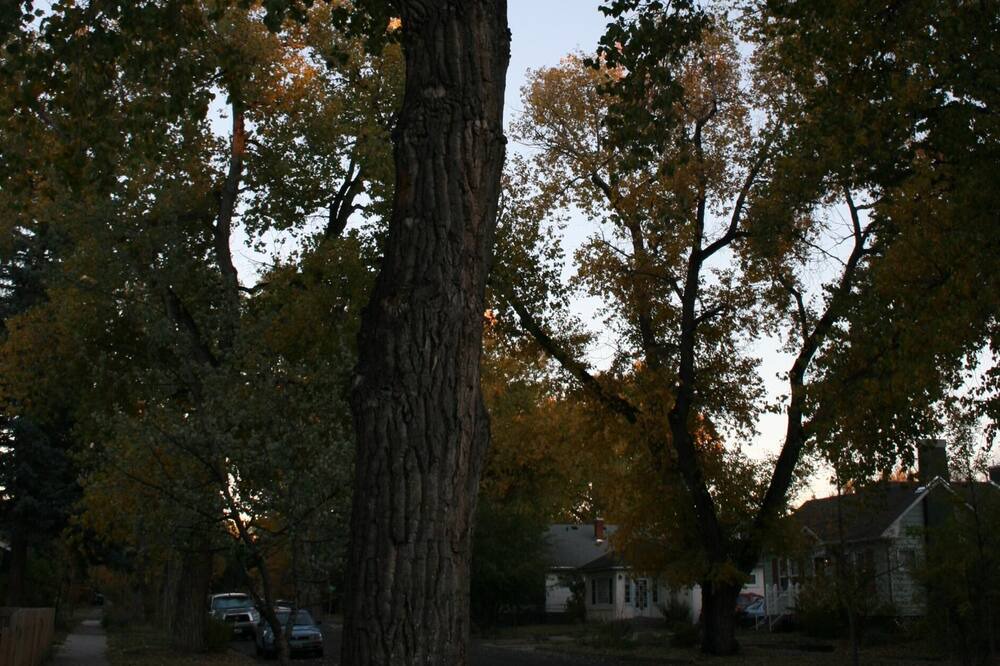 Photo of Others in Laramie