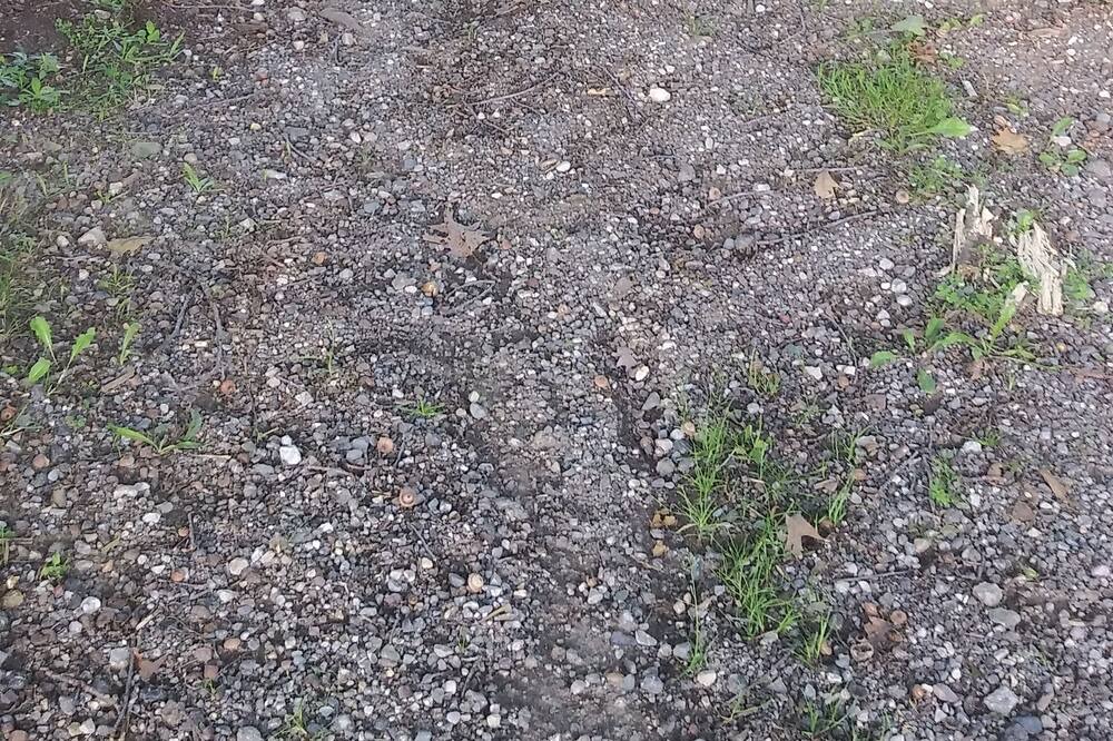 Photo of Outdoor in Barnes Lake-Millers Lake