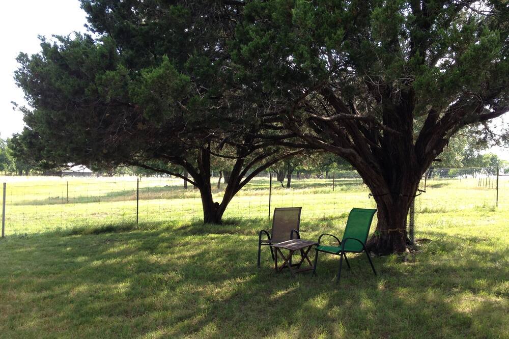 Photo of Others in Gatesville