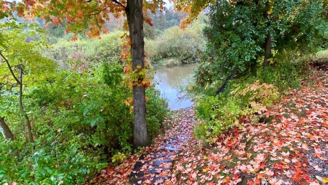 Photo of Outdoor in Benzonia