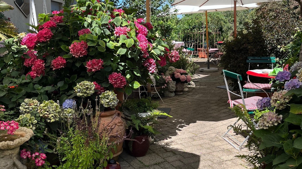 Photo of Patio Balcony in Rorschach