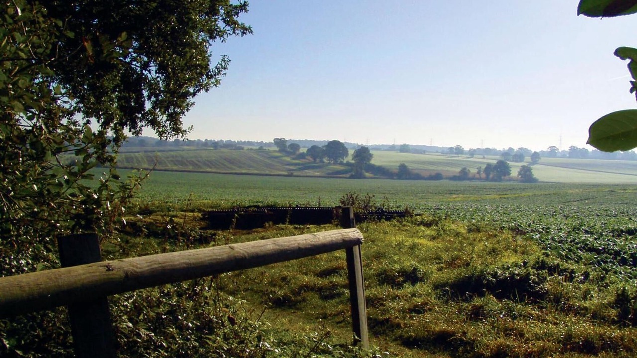 Photo of Outdoor in Halstead