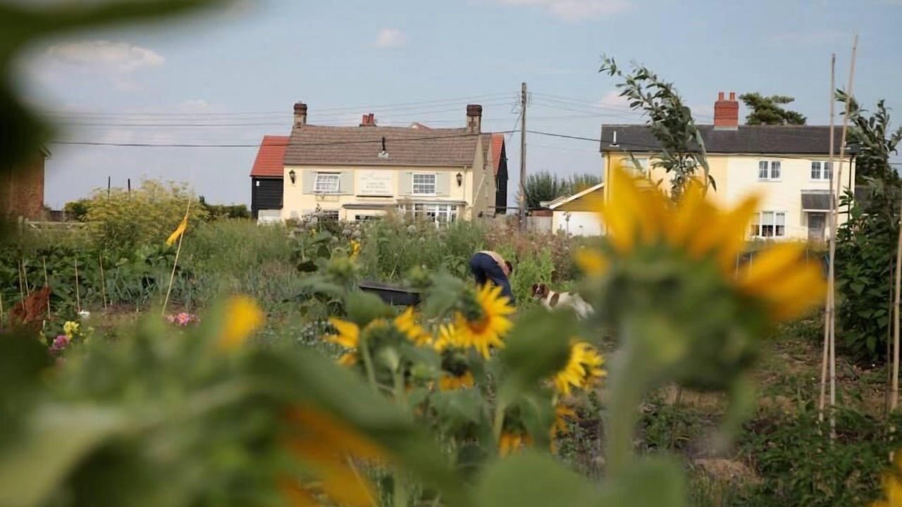 Photo of Outdoor in Halstead