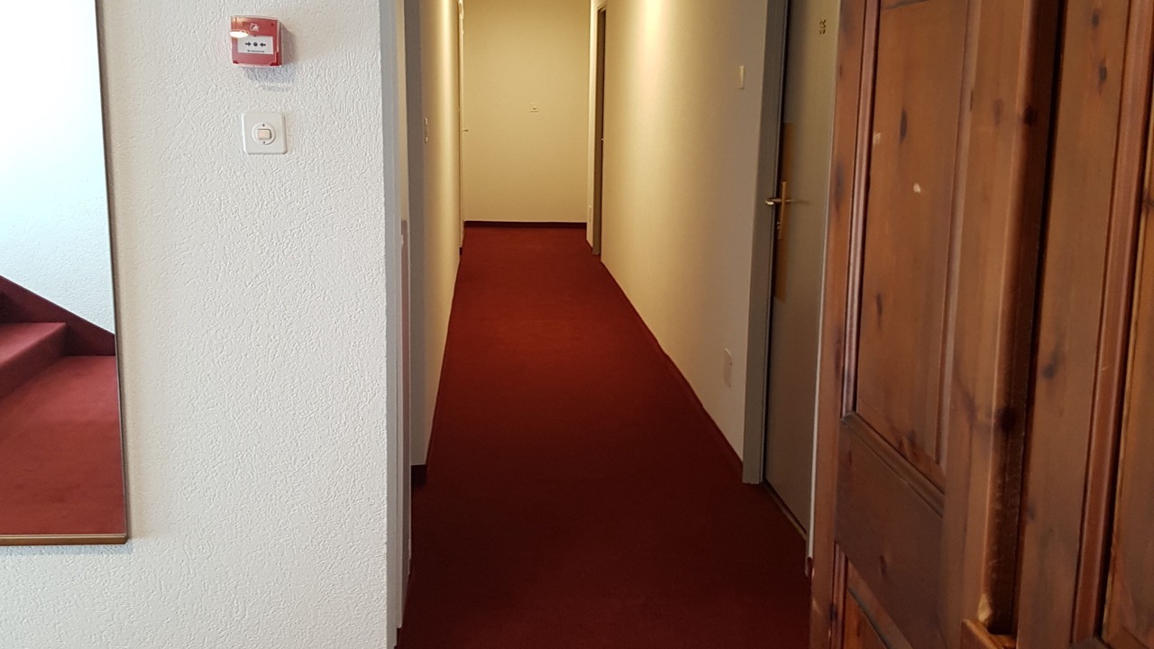 Photo of Others in Martigny
