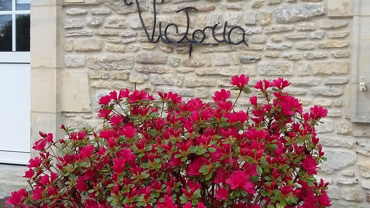 Photo of Outdoor in Tracy-sur-Mer