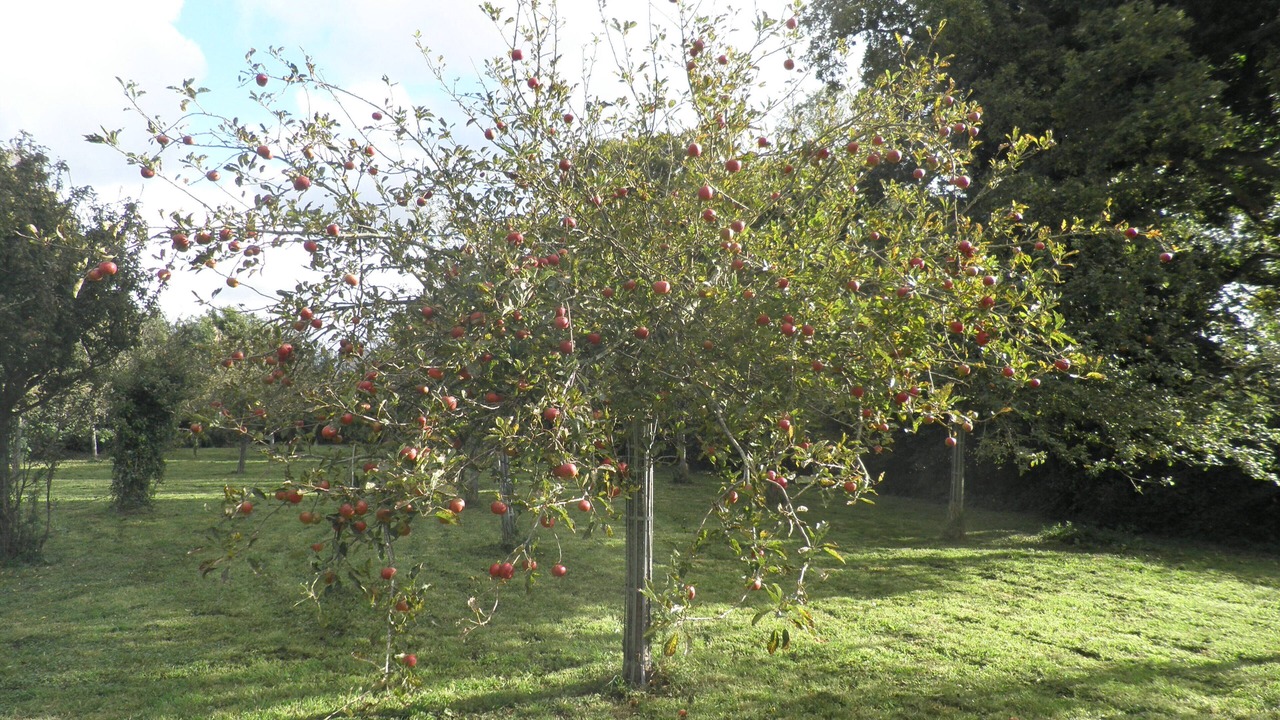 Photo of Outdoor in Tracy-sur-Mer