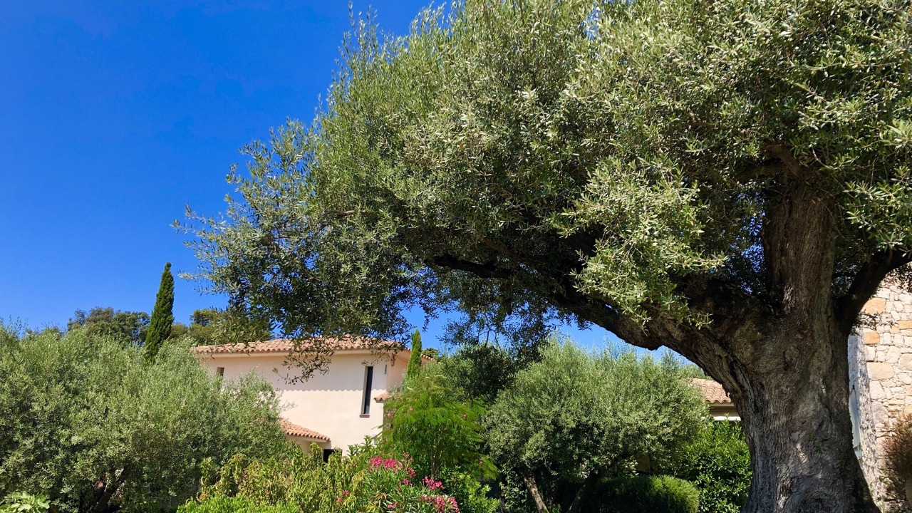 Photo of Outdoor in Bonifacio