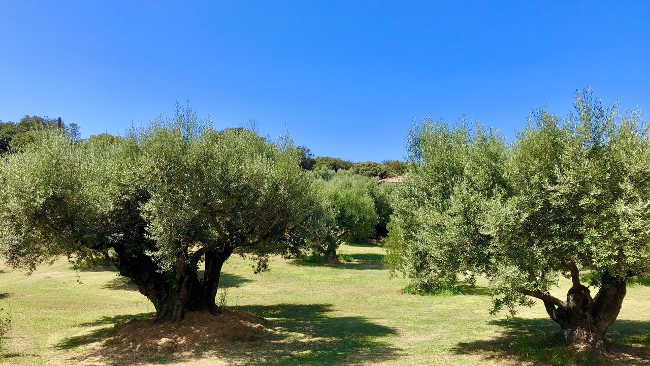 Photo of Outdoor in Bonifacio