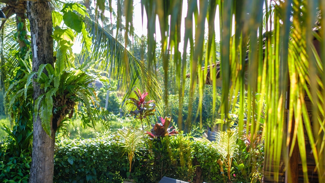 Photo of Outdoor in Pengosekan