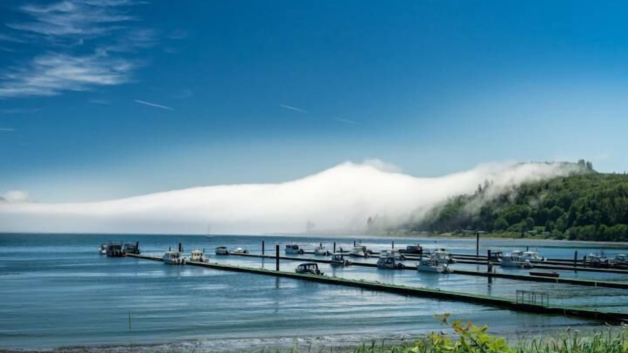 Photo of Others in Sekiu