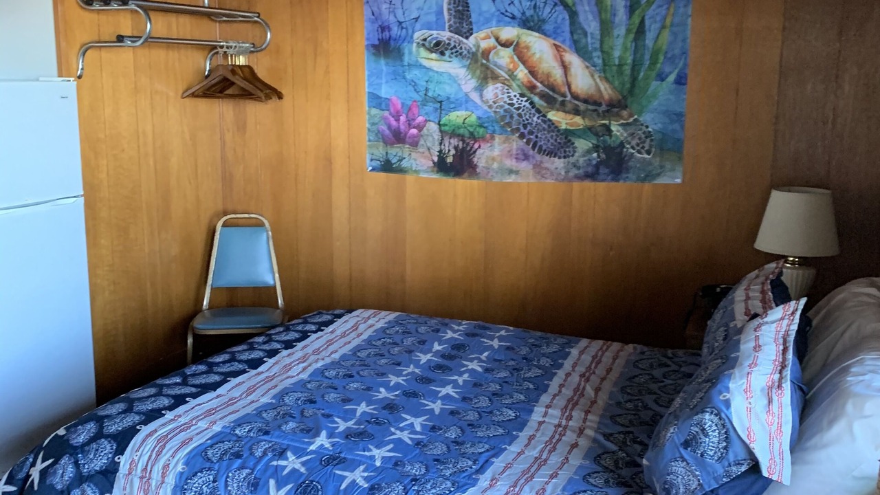 Photo of Others in Sekiu