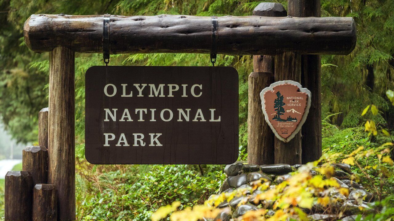 Photo of Others in Sekiu