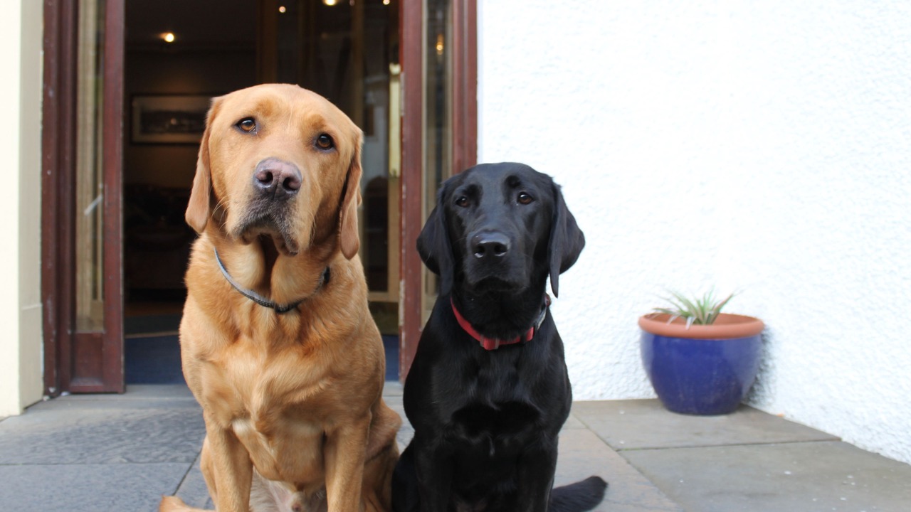 Photo of Others in Wick