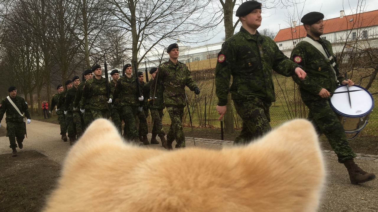 Photo of Outdoor in Fredensborg