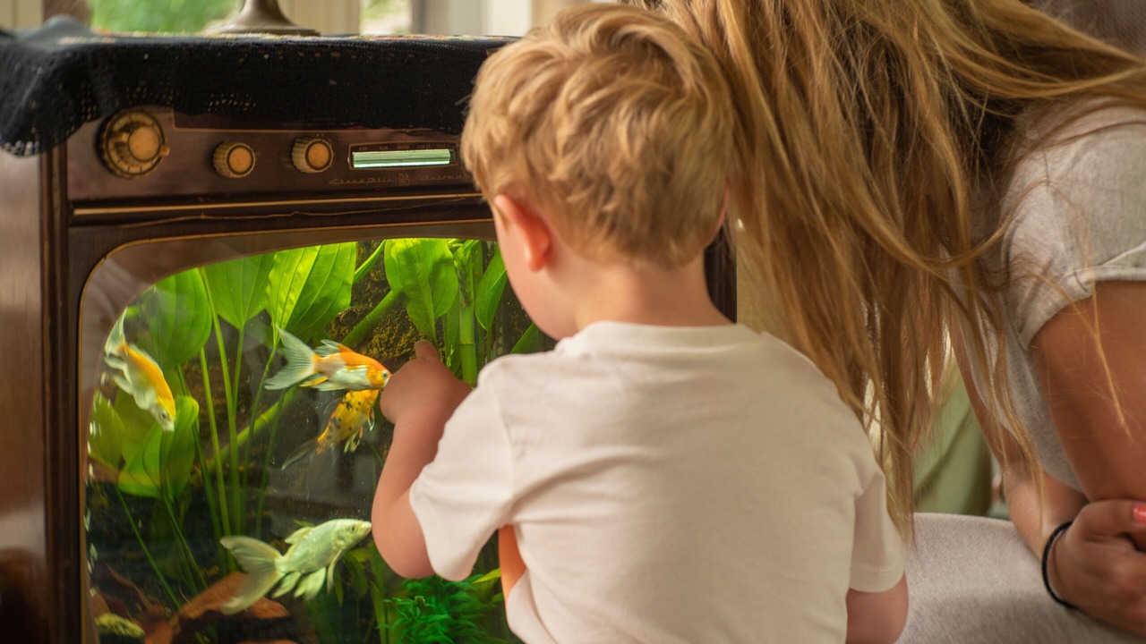 Photo of Livingroom in Fredensborg