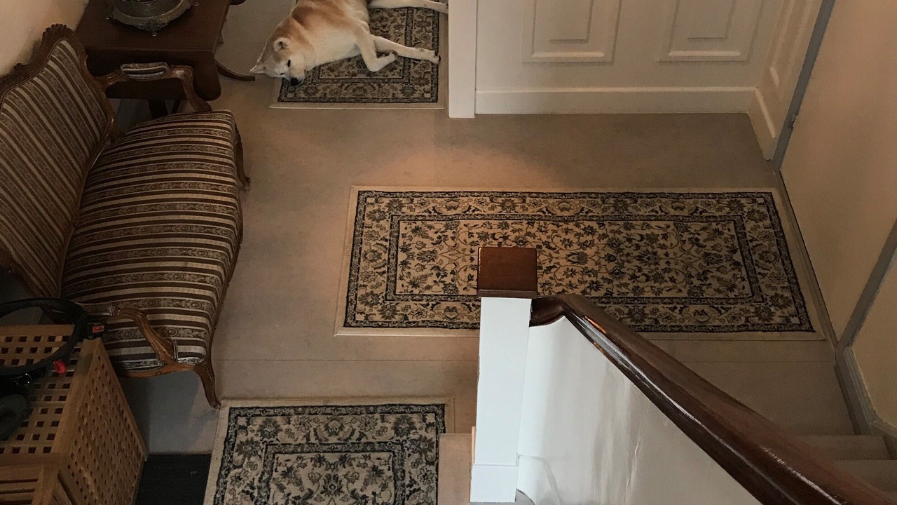 Photo of Others in Fredensborg