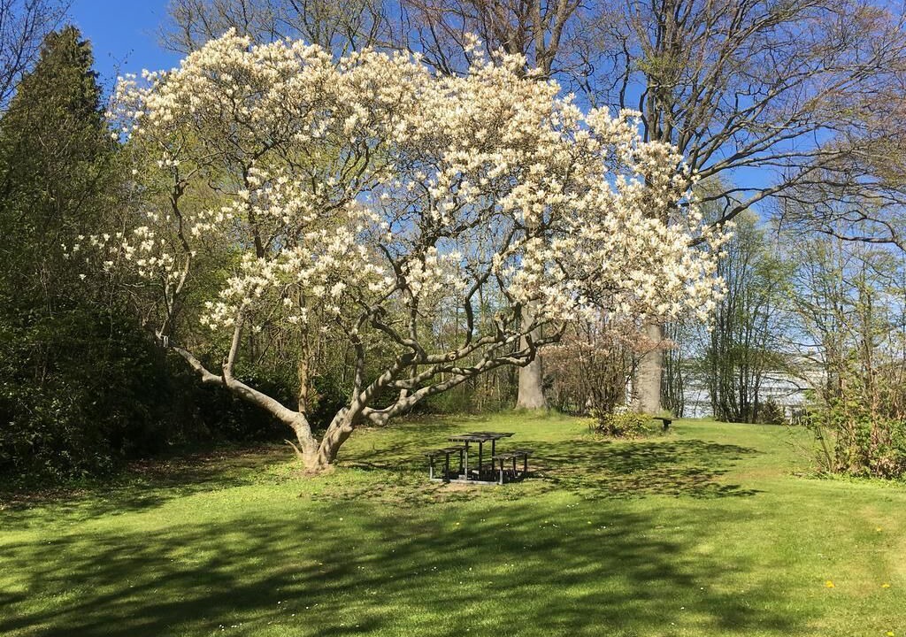 Photo of Outdoor in Fredensborg