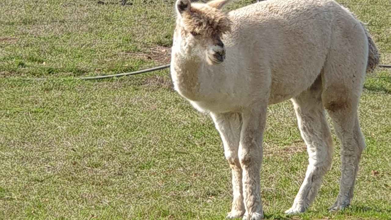 Photo of Others in Chalais