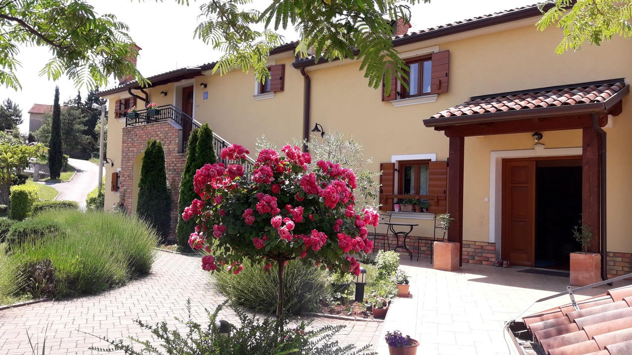 Photo of Outdoor in Rukavac