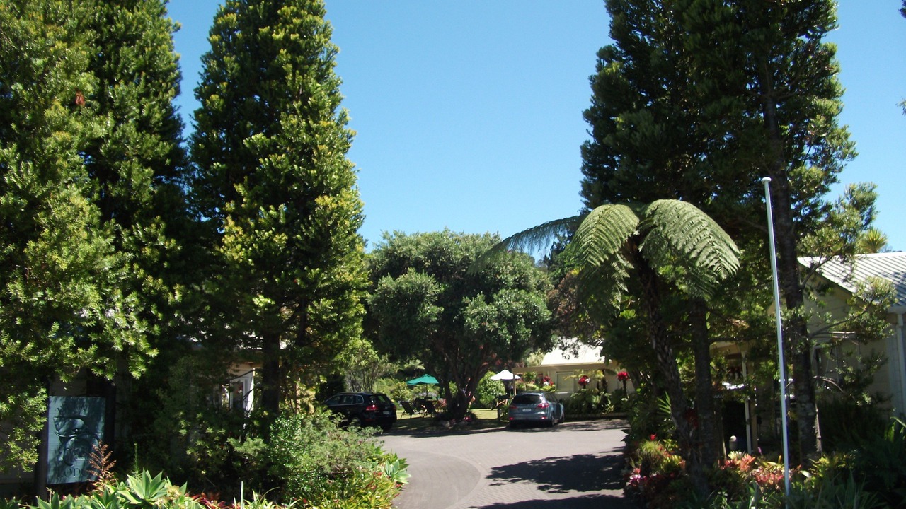 Photo of Outdoor in Hahei