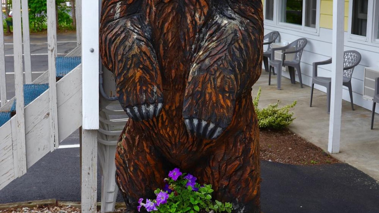 Photo of Outdoor in Lake George
