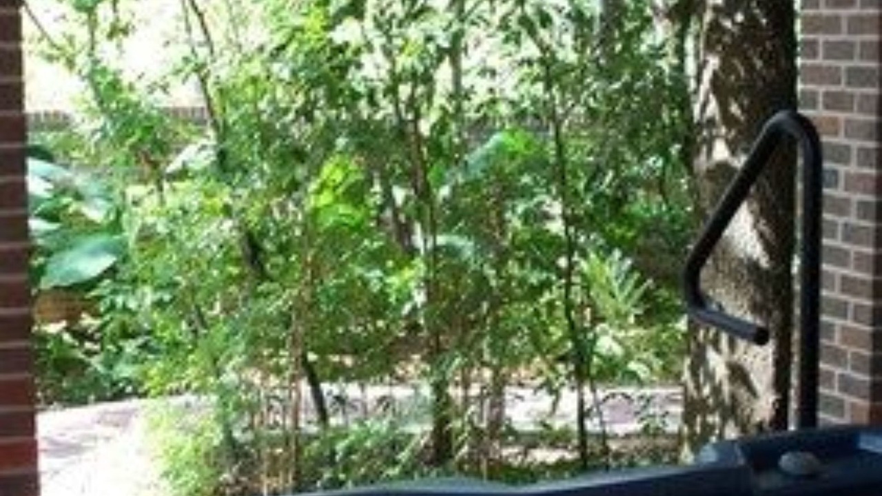 Photo of Outdoor in Brenham