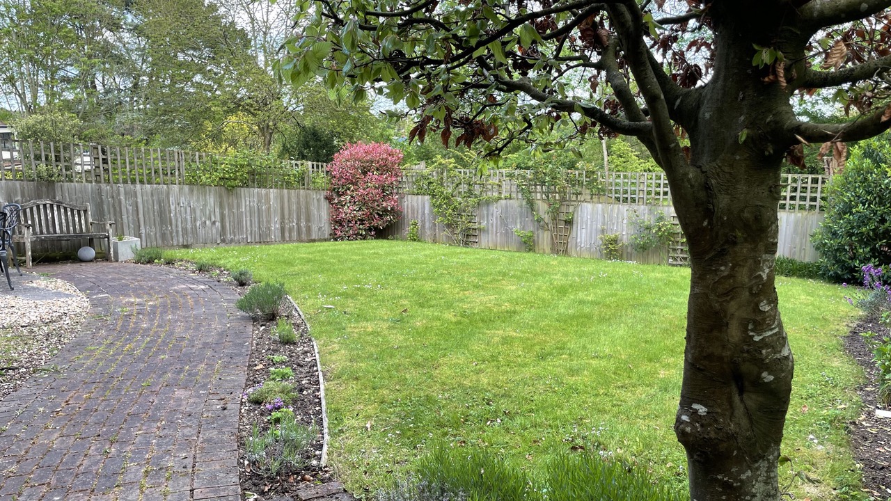 Photo of Outdoor in Redlynch