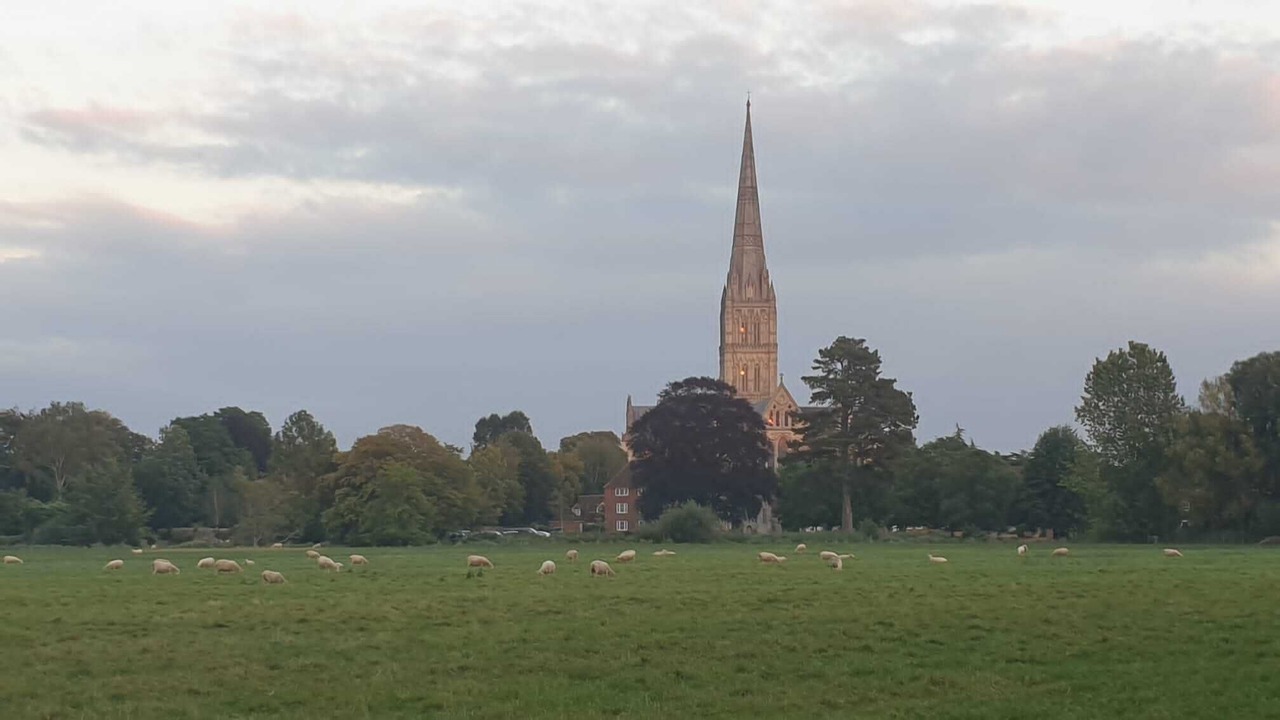 Photo of Others in Redlynch