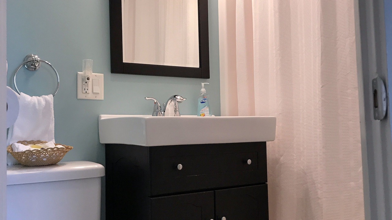 Photo of Bathroom in Conesus