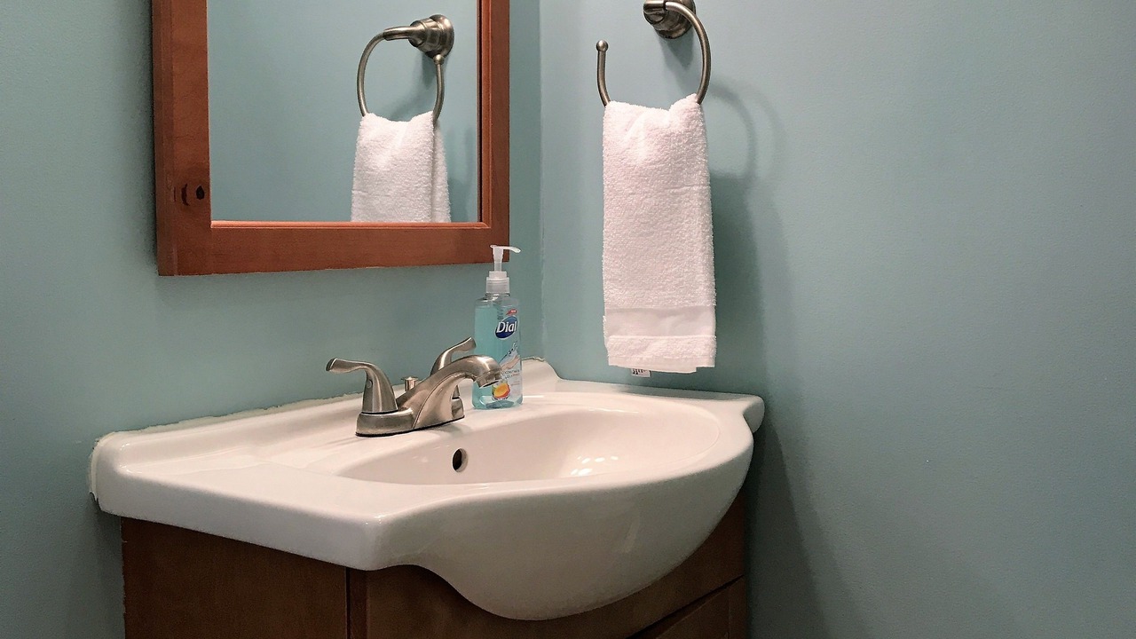 Photo of Bathroom in Conesus