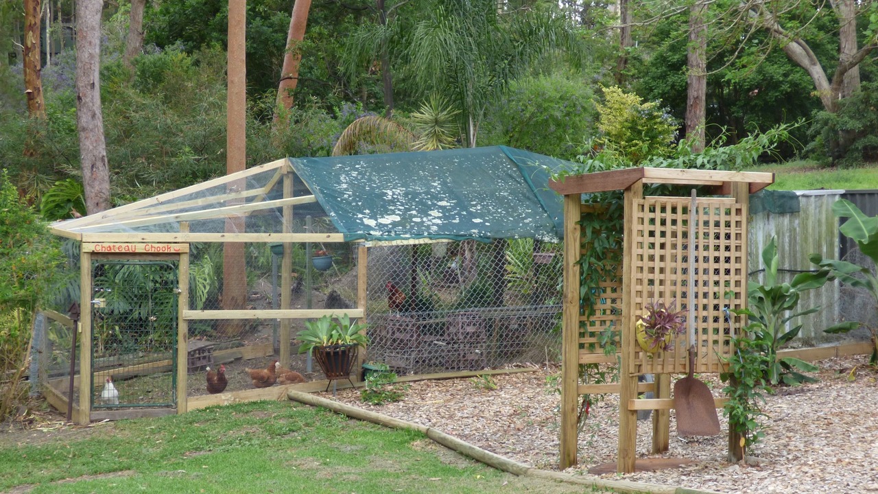 Photo of Outdoor in Mount Hutton