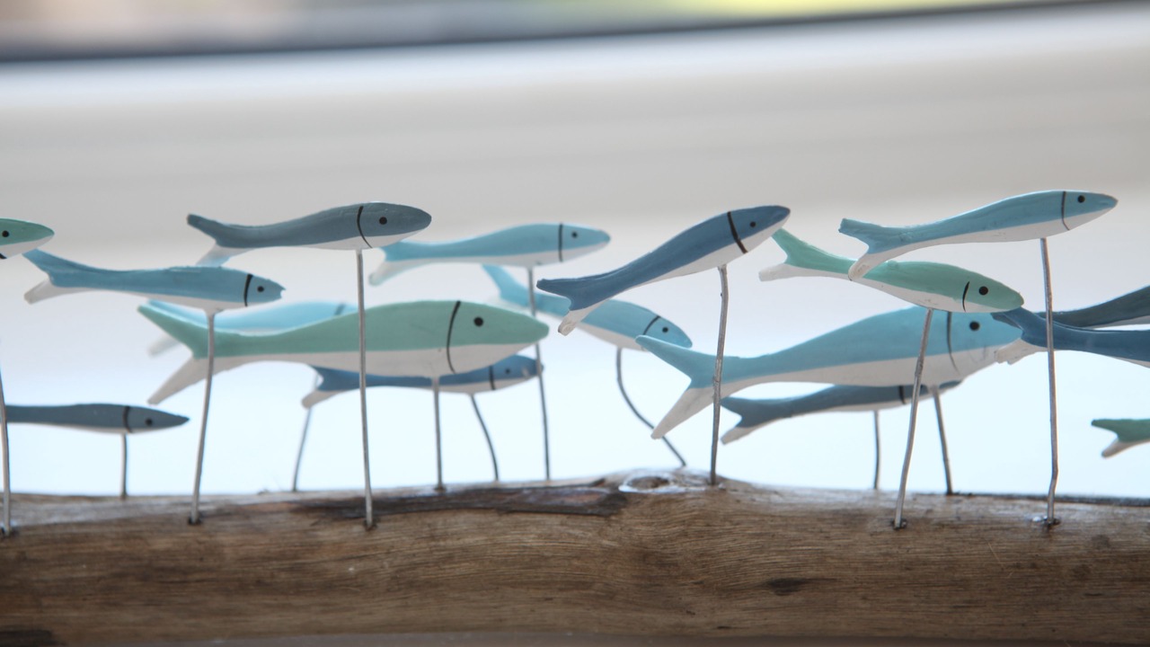 Photo of Others in Stromness