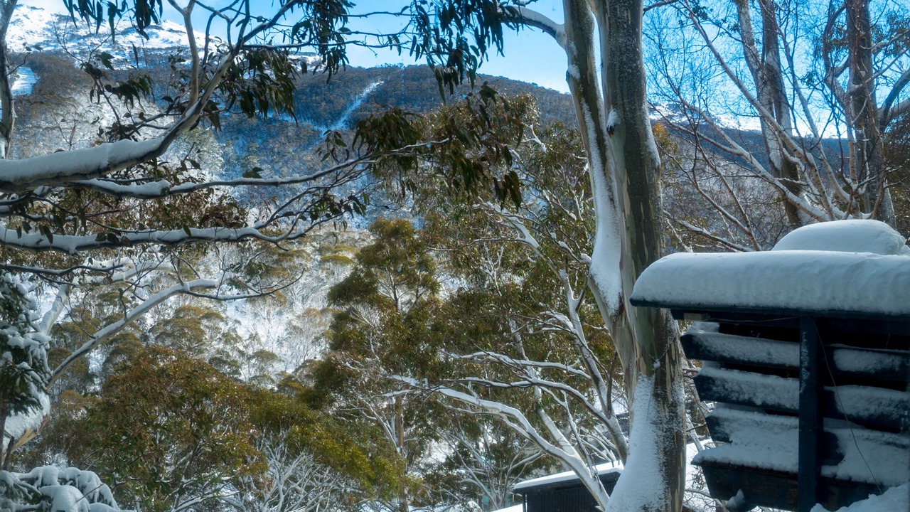 Photo of Bedroom in Thredbo