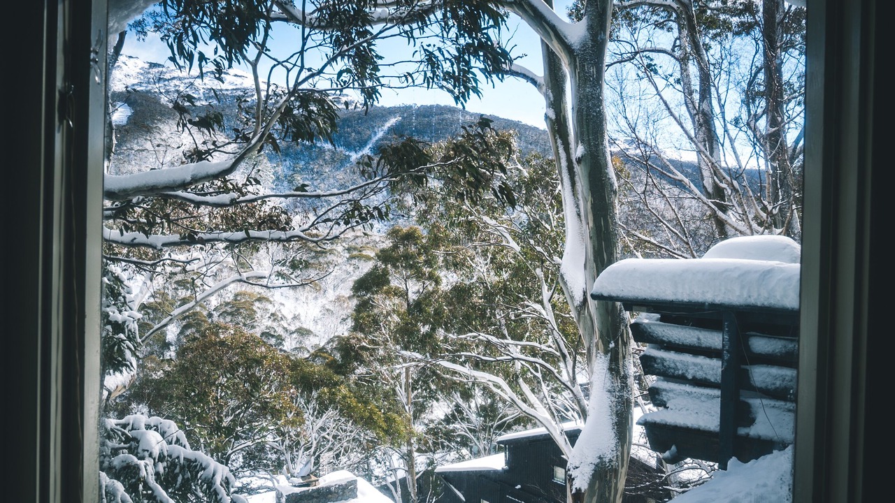 Photo of Others in Thredbo