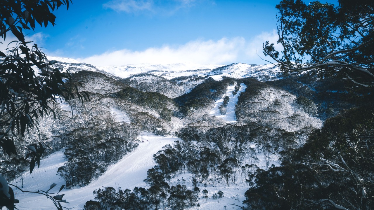 Photo of Bedroom in Thredbo