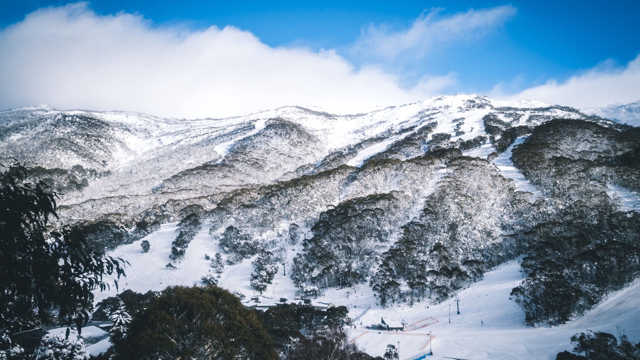 Photo of Others in Thredbo