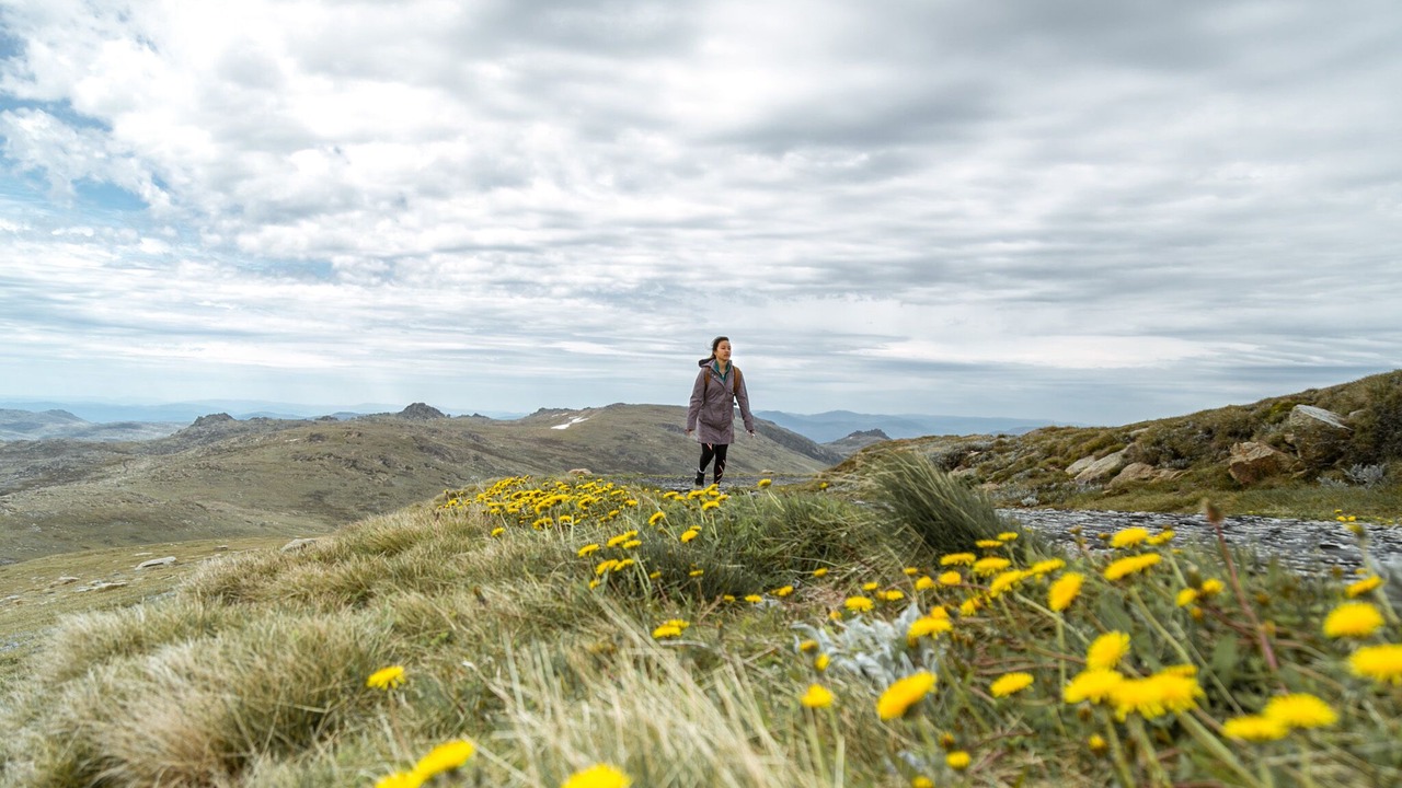 Photo of Outdoor in Thredbo