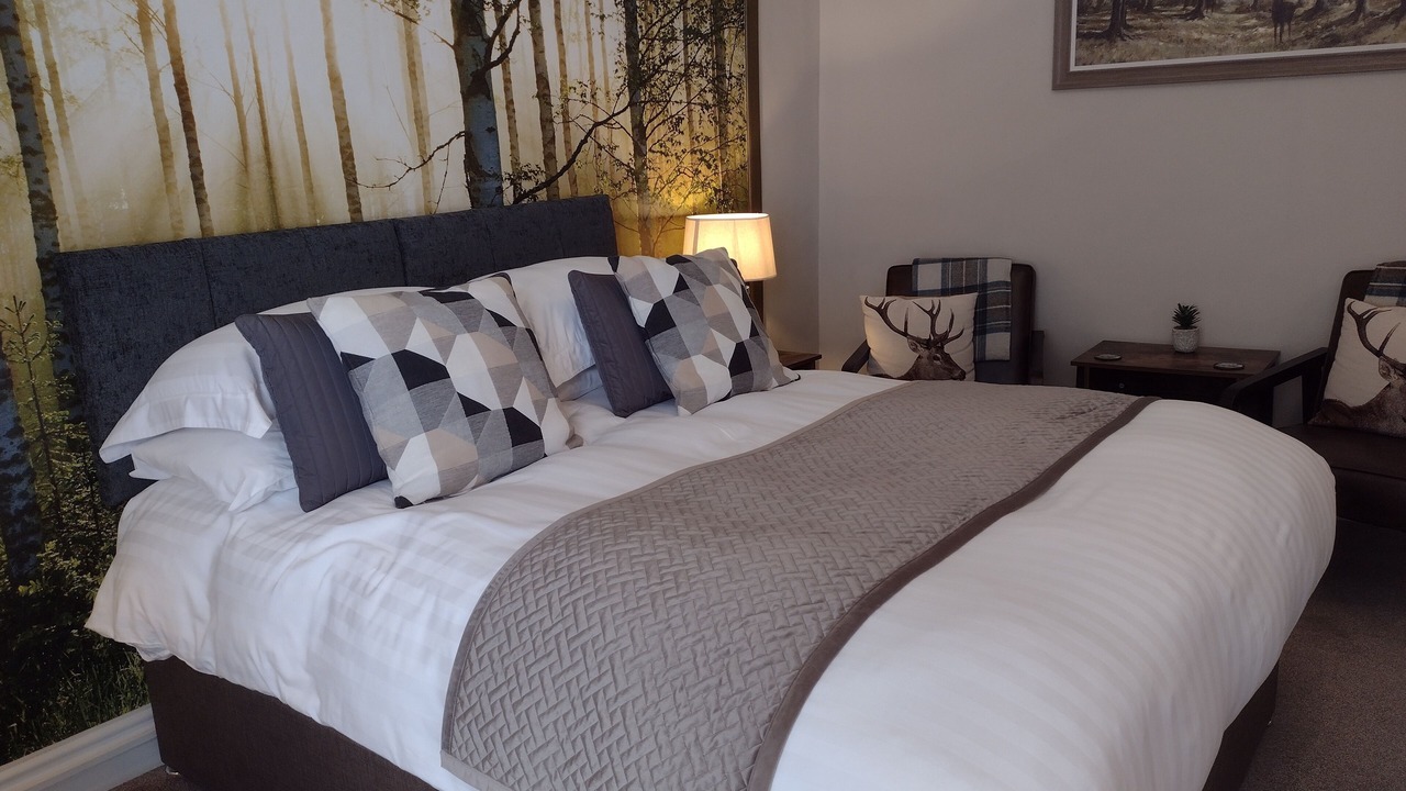 Photo of Outdoor in Beddgelert