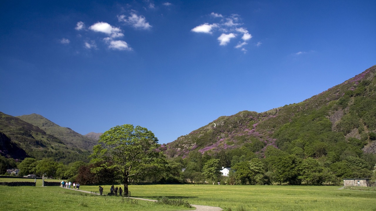 Photo of Others in Beddgelert