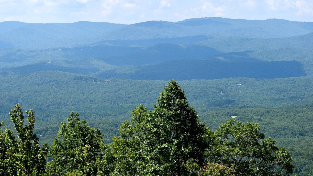 Photo of Others in Dahlonega
