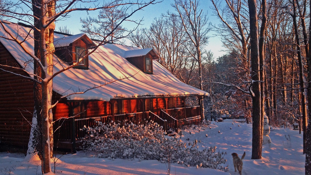 Photo of Others in Dahlonega